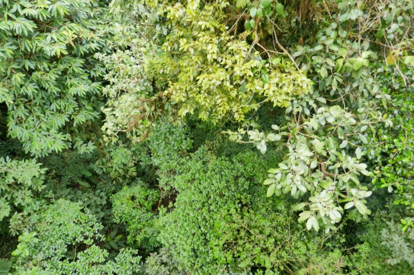 P1430288